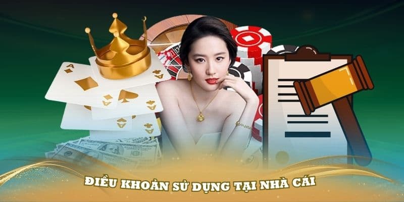 dieu-khoan-su-dung-vai-tro