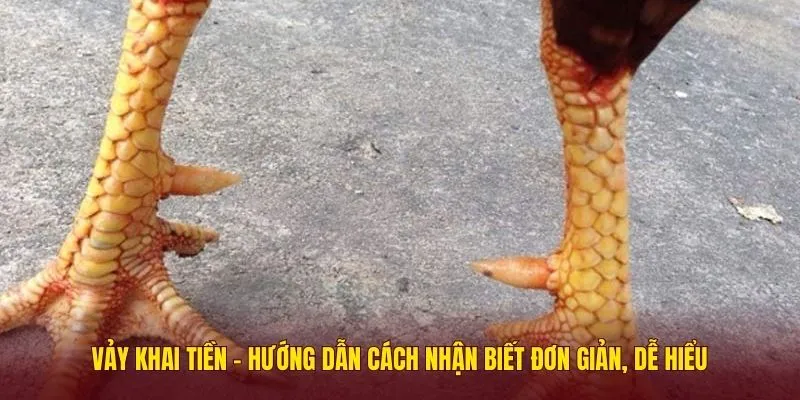 vay-khai-tien-1
