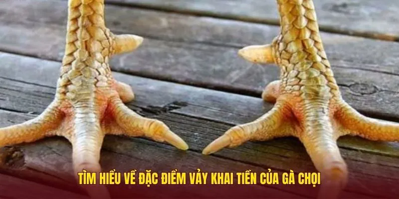 vay-khai-tien-2
