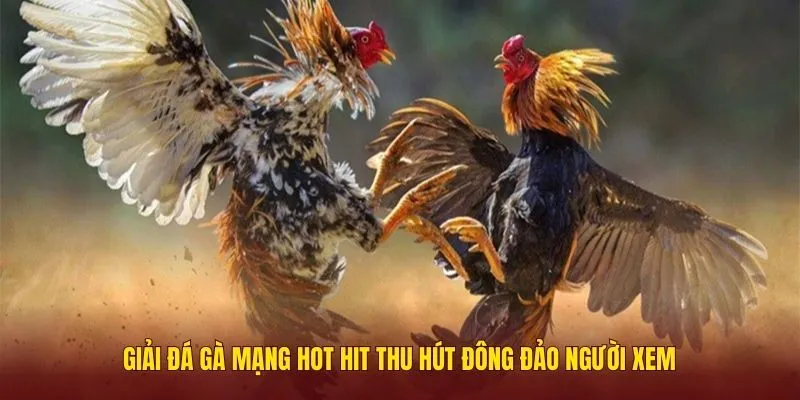 da-ga-mang-2