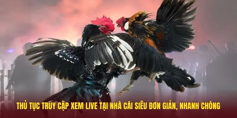 da-ga-mang-3